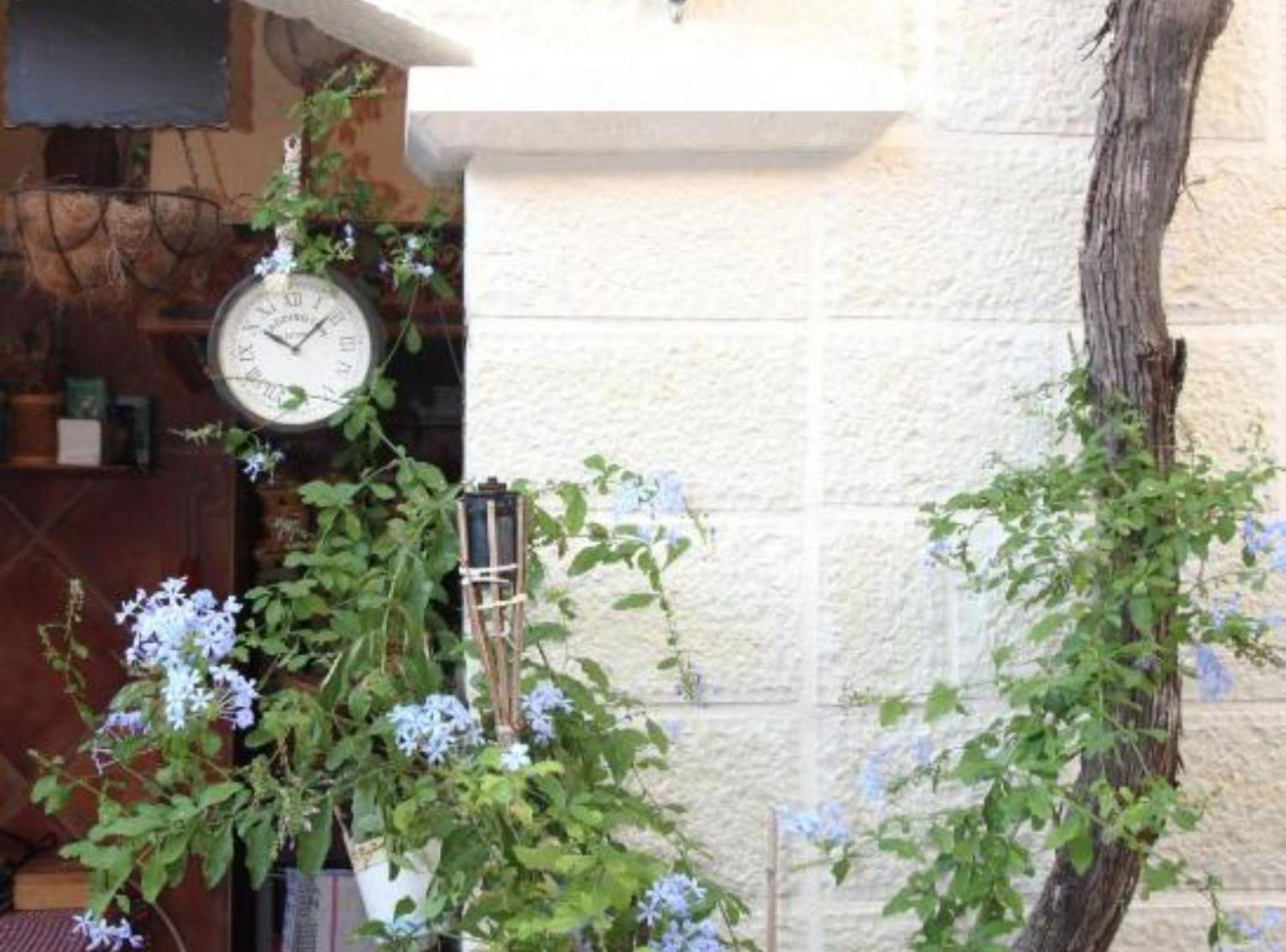 Quaint & Affordable In Traditional Stone House Gostinjska kuća